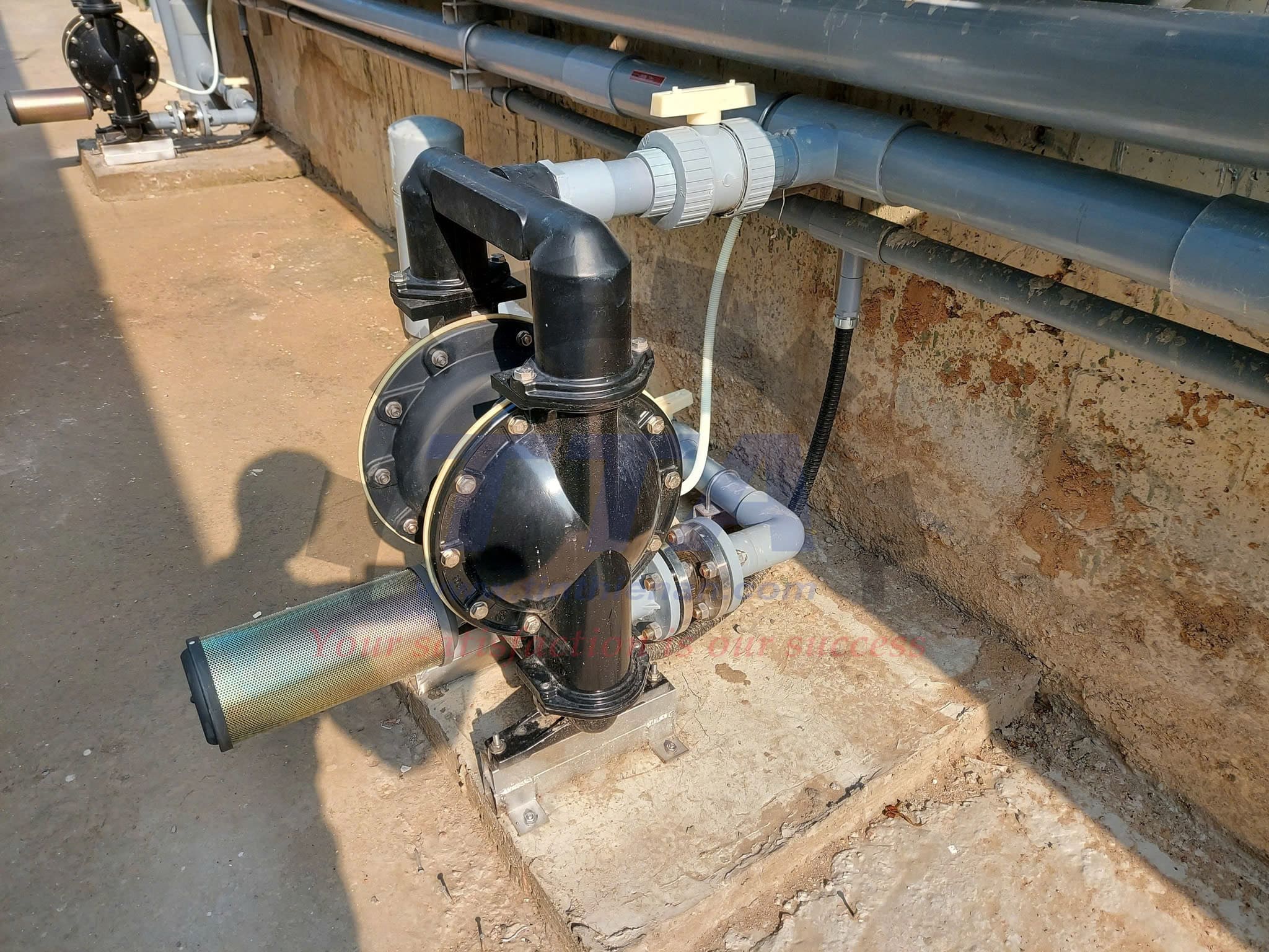 Bơm màng DINO DA25-SSSSSSTF thực tế_Tín Thiên An