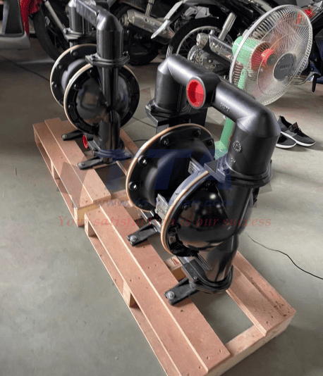 Bơm màng DINO DA40-ALPPSPSP trong thực tế_Tín Thiên An